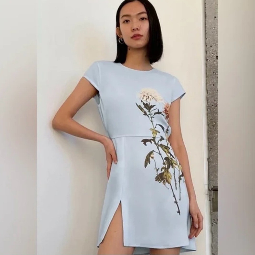 Babaton Aritzia Floral Print Light Blue Dress